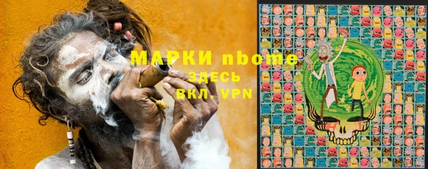 прущие грибы Аркадак