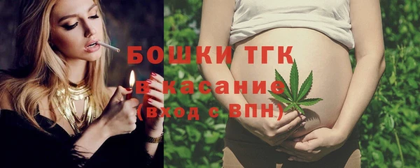 прущие грибы Аркадак