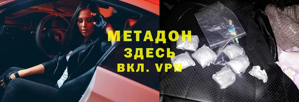прущие грибы Аркадак