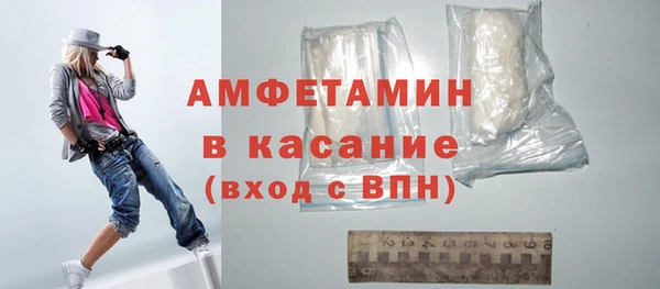 прущие грибы Аркадак