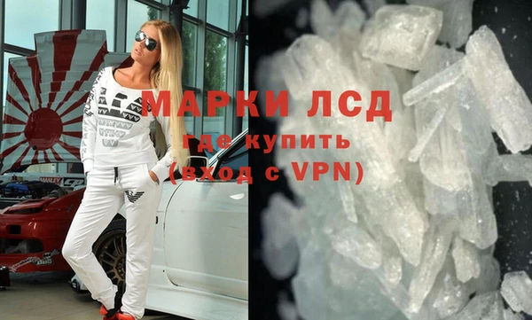 прущие грибы Аркадак