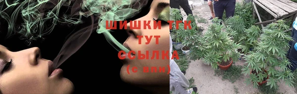 прущие грибы Аркадак